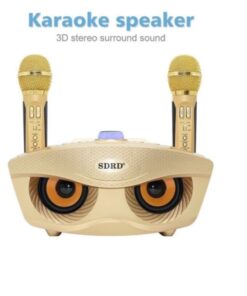 loa-karaoke-sd-306-2-mic